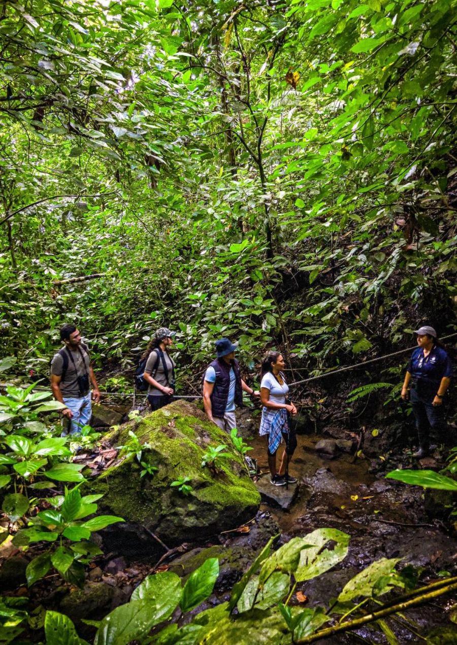 Momarco Forest Cove Tanay Exteriör bild