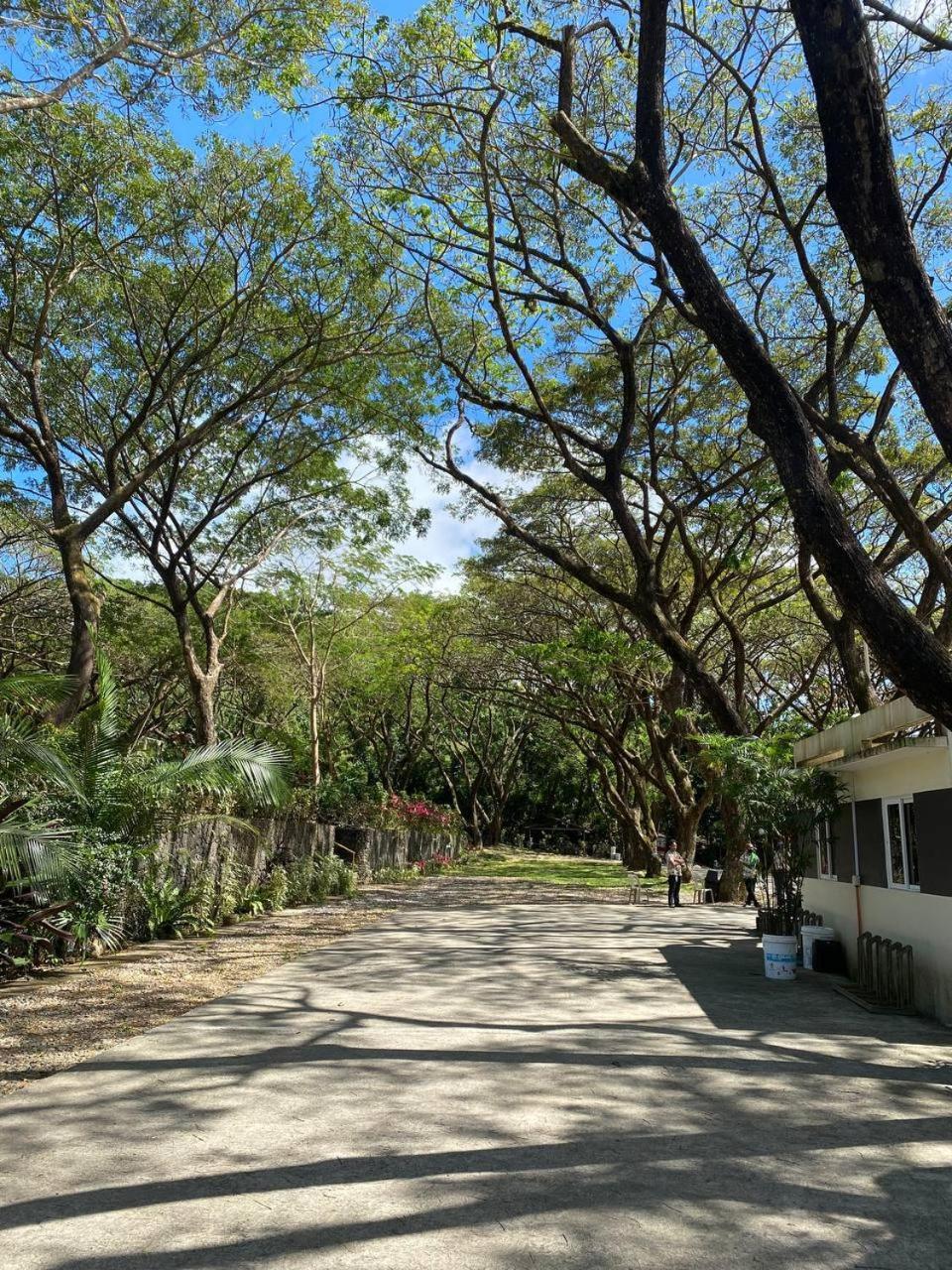 Momarco Forest Cove Tanay Exteriör bild
